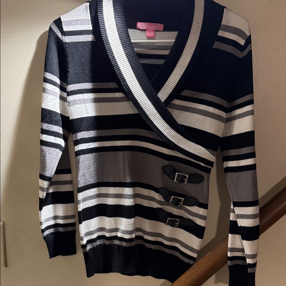 Say What? Black and Gray Striped V-Neck Sweater